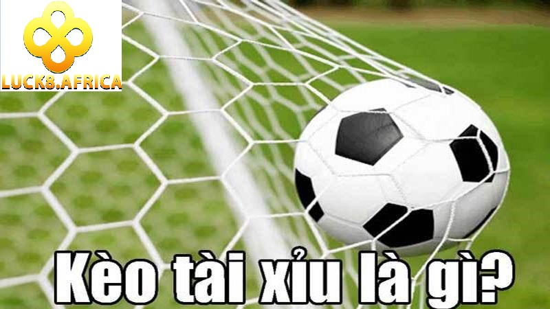 Kèo Tài Xỉu 2.5 Tại Luck8 Vô Cùng Hấp Dẫn 2025 3 Chia sẻ kinh nghiệm chơi Kèo Tài Xỉu 2.5 Luck8